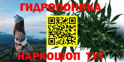 прущий лед Заводоуковск