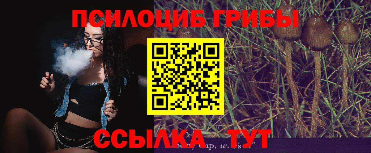 Галлюциногенные грибы Psilocybine cubensis  Вход с VPN  Люберцы  Галлюциногенные грибы Magic Shrooms 